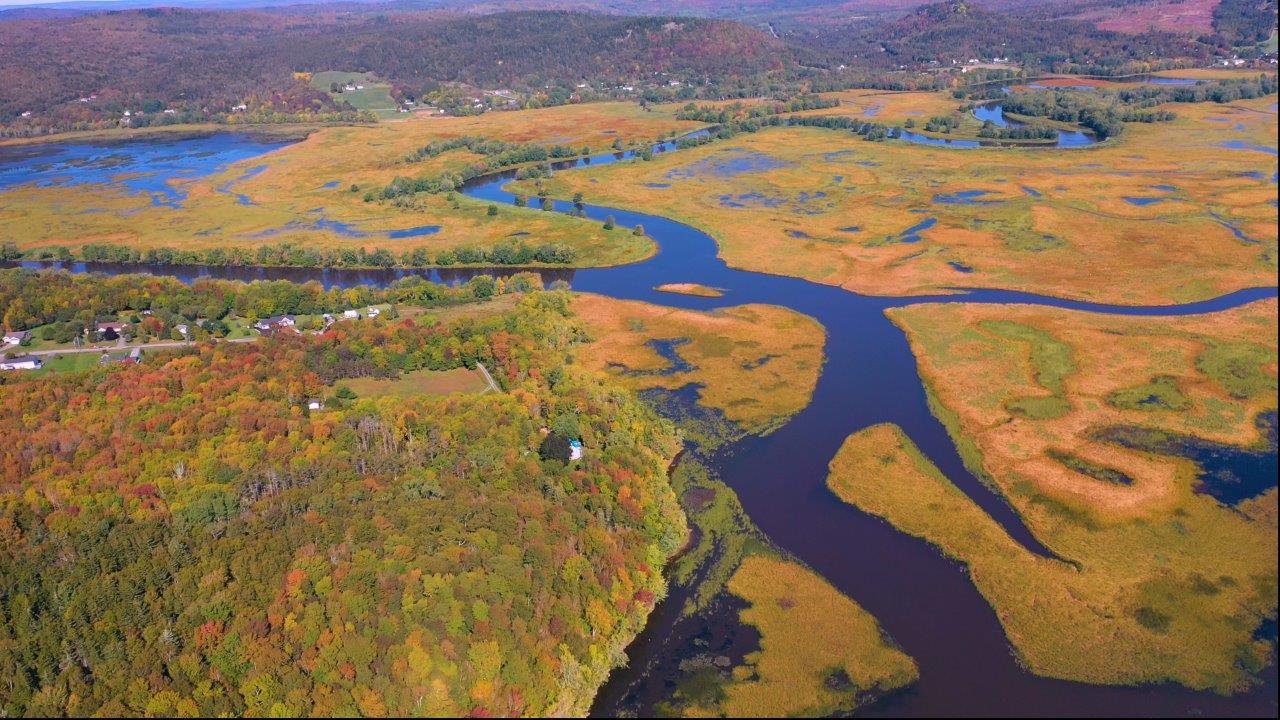 Darlings Island Road Pam Decourcey & Company