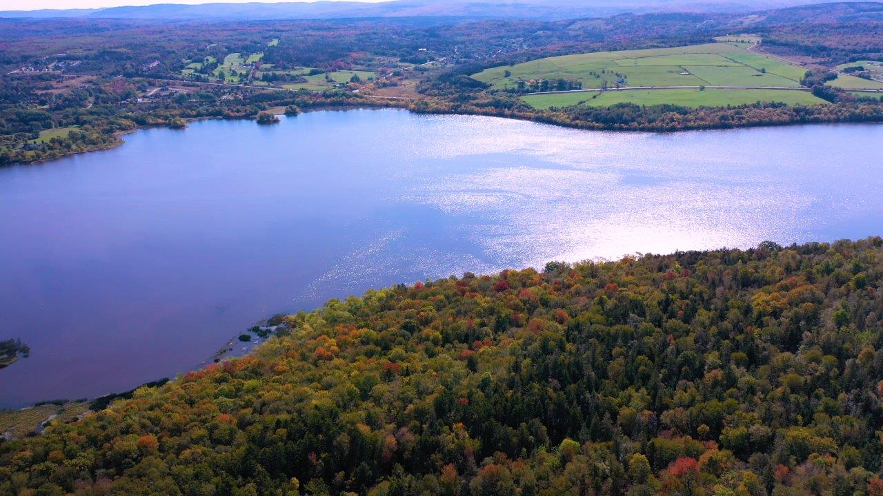 Darlings Island Road Pam Decourcey & Company