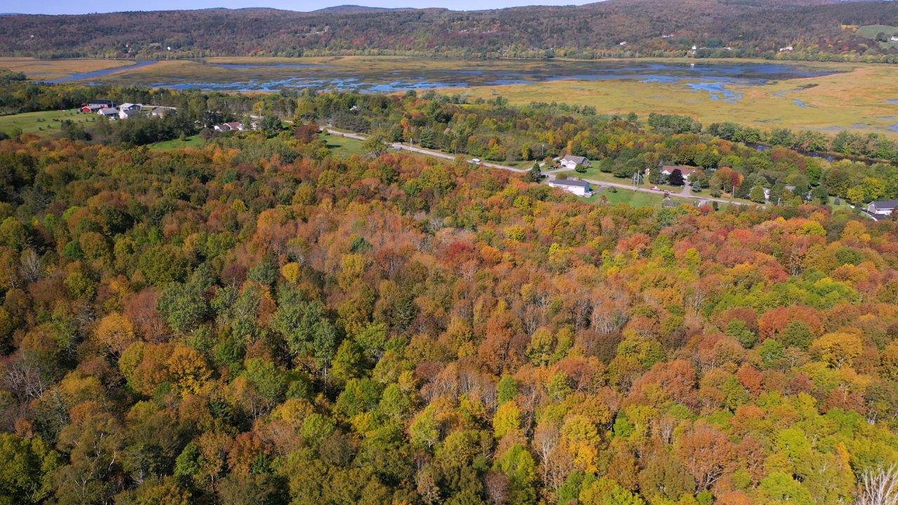 Darlings Island Road Pam Decourcey & Company